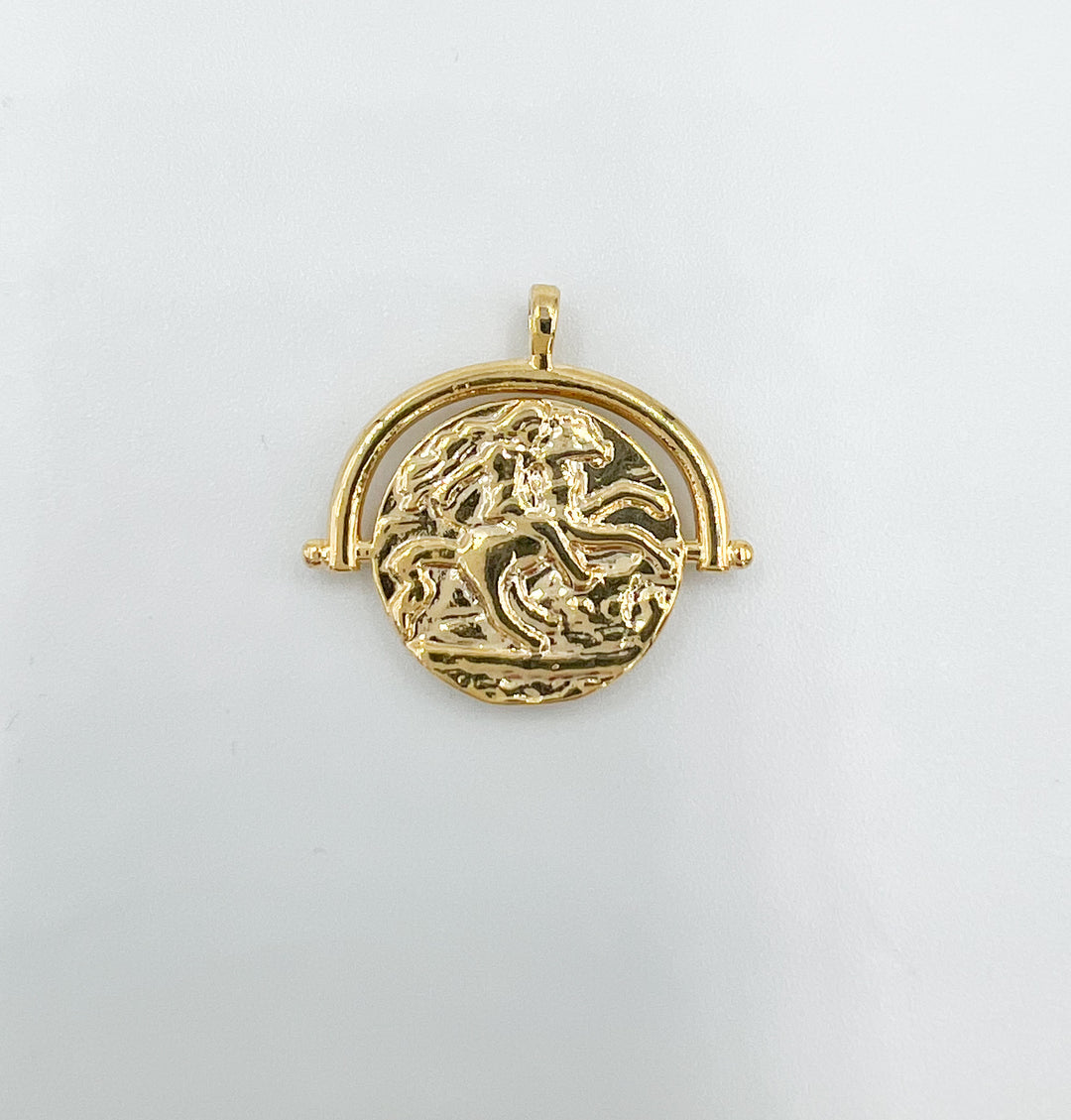 Shipwreck Coin