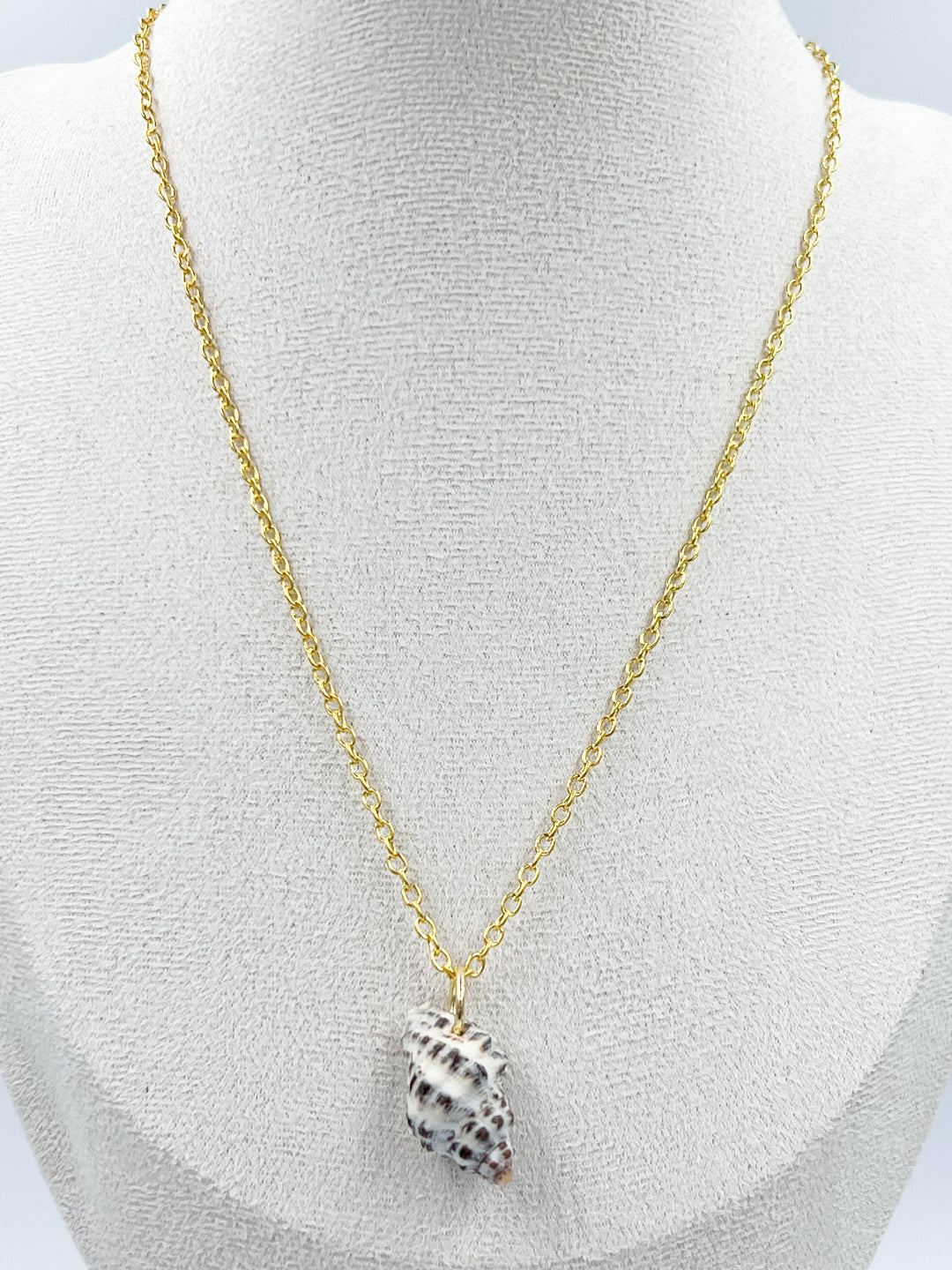 Conch Shell Necklaces