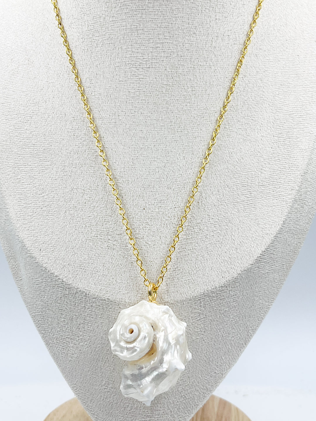 Conch Shell Necklaces