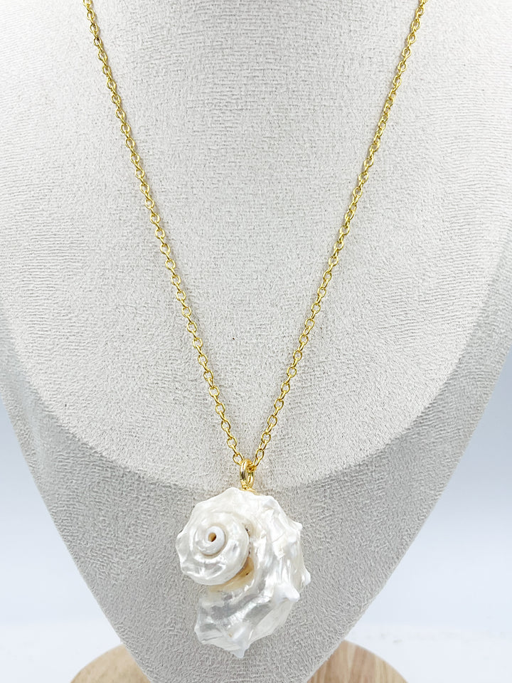 Conch Shell Necklaces