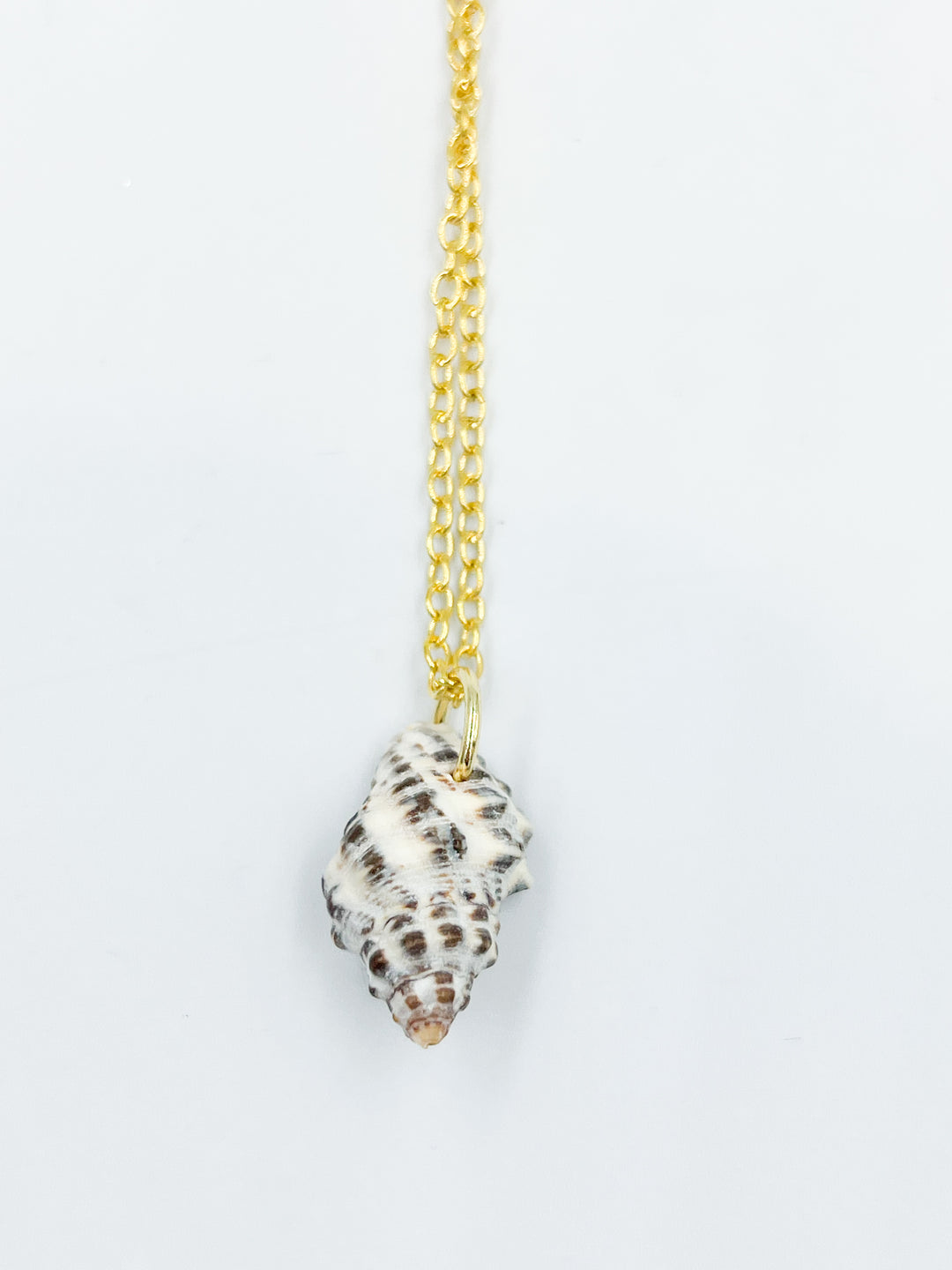 Conch Shell Necklaces