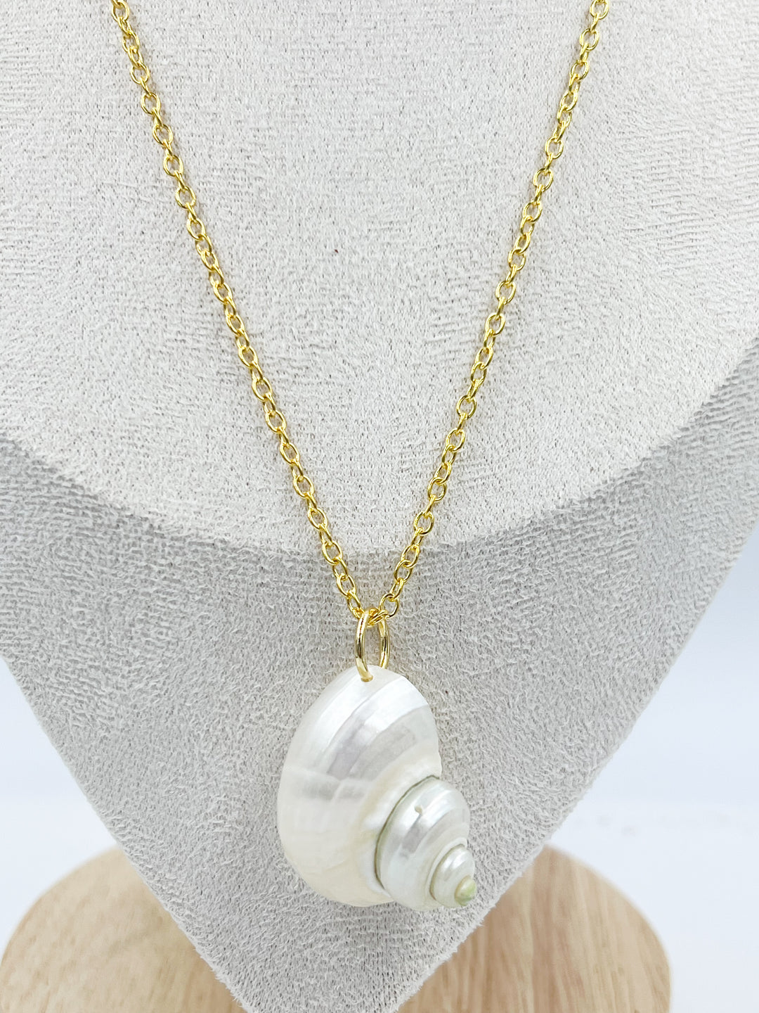 Conch Shell Necklaces