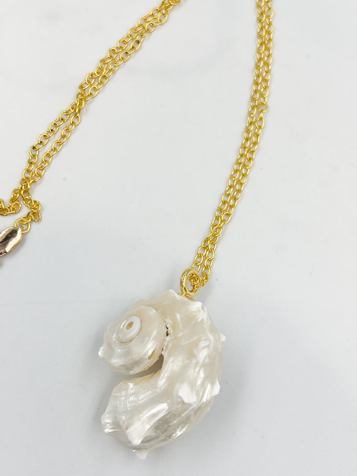 Conch Shell Necklaces