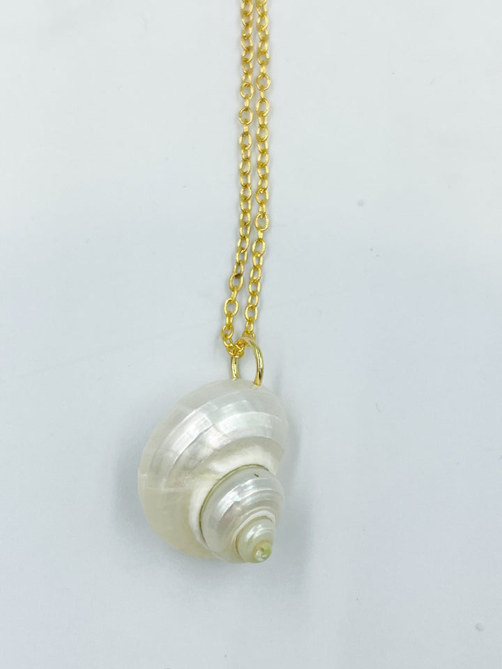 Conch Shell Necklaces