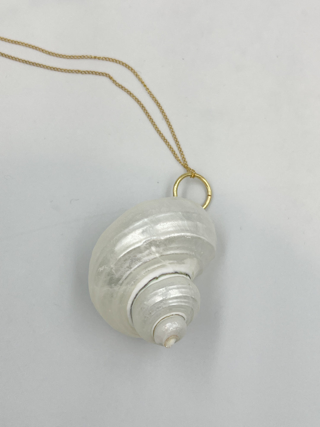 Conch Shell Necklaces