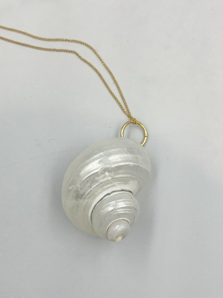 Conch Shell Necklaces